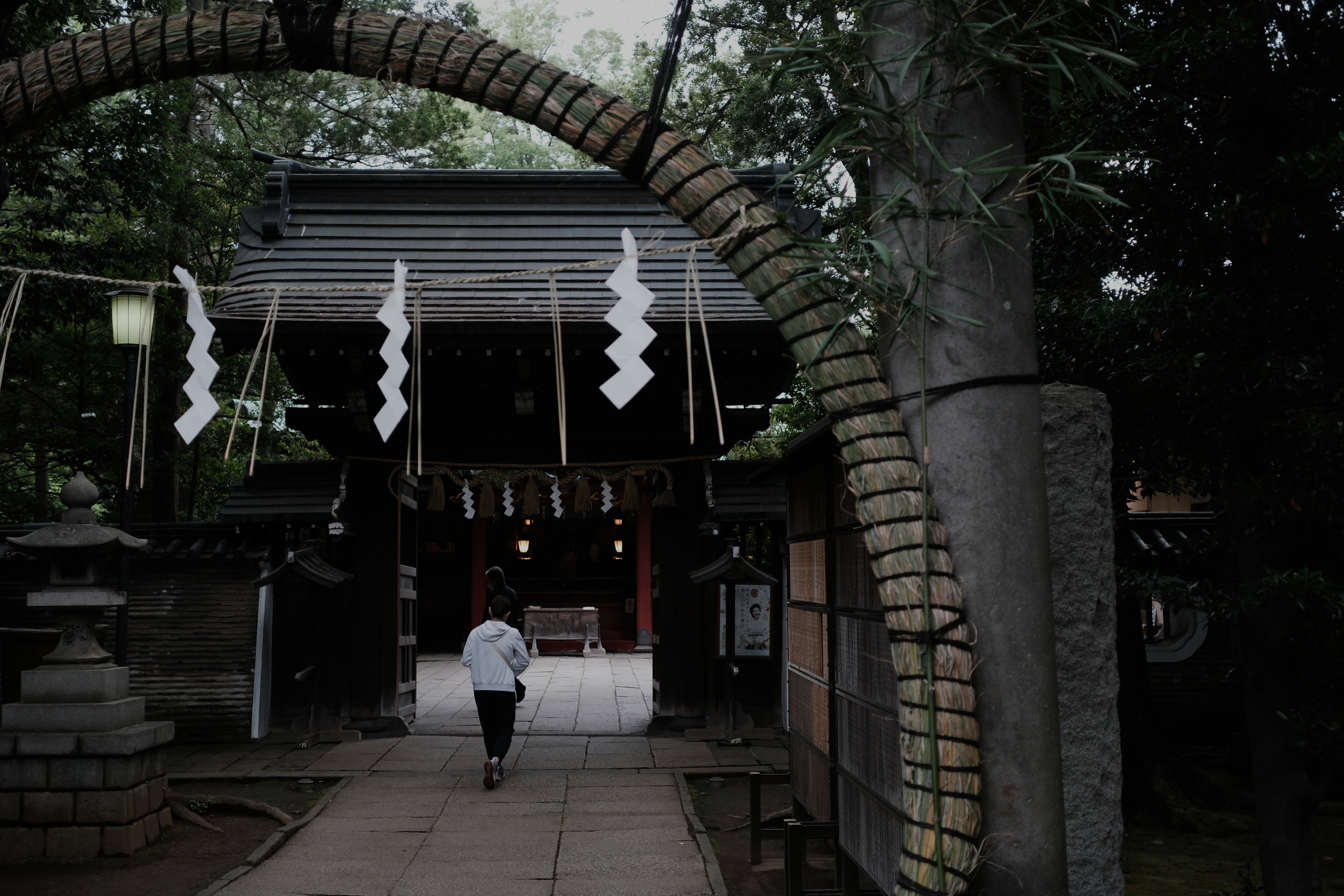 Figure walking through a shimenawa rope arch toward Hikawa Shrine, fully enclosed by trees
