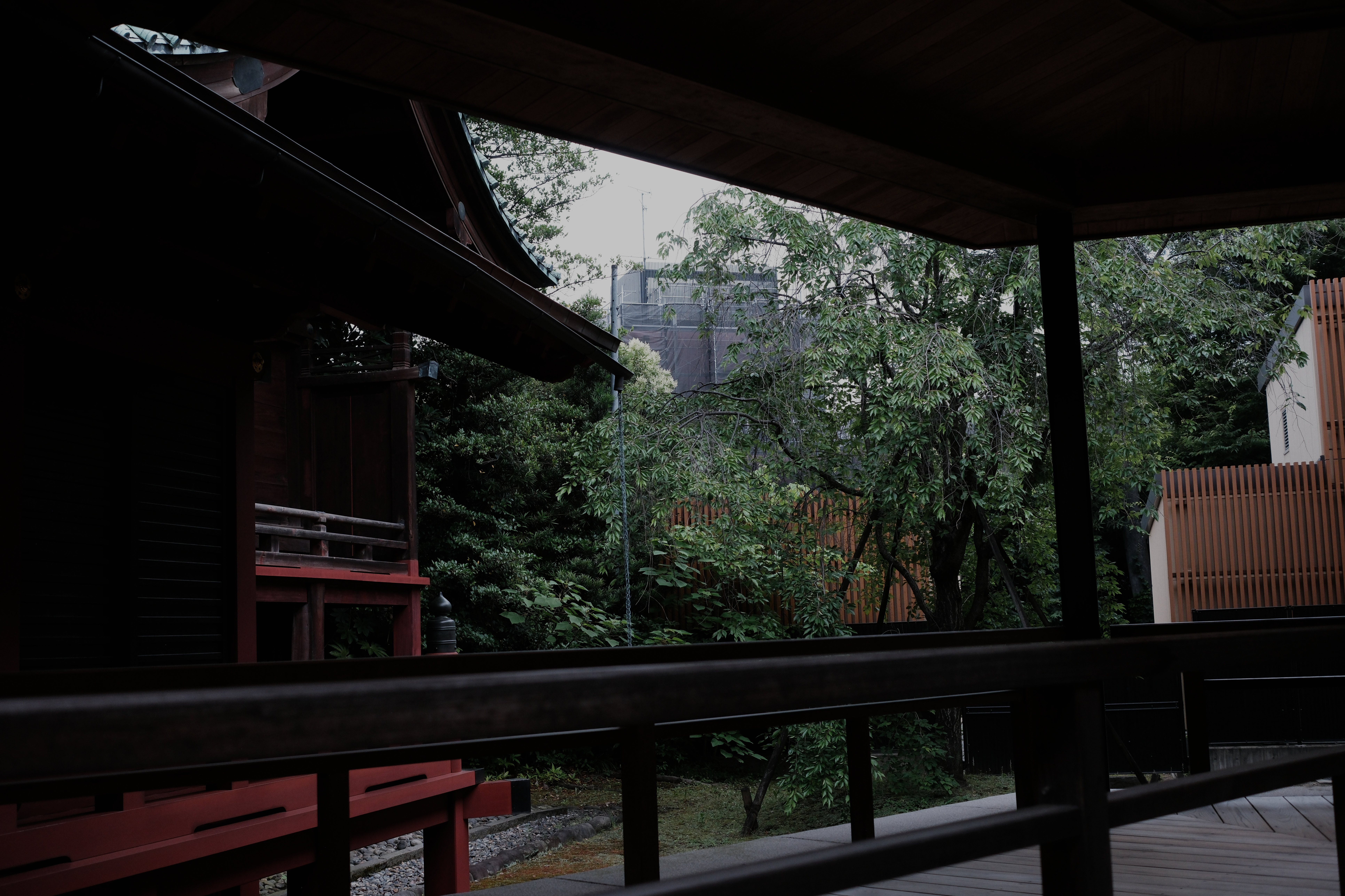 Dark temple corridor at Hikawa Shrine, red railing, a gap in the canopy showing the city beyond