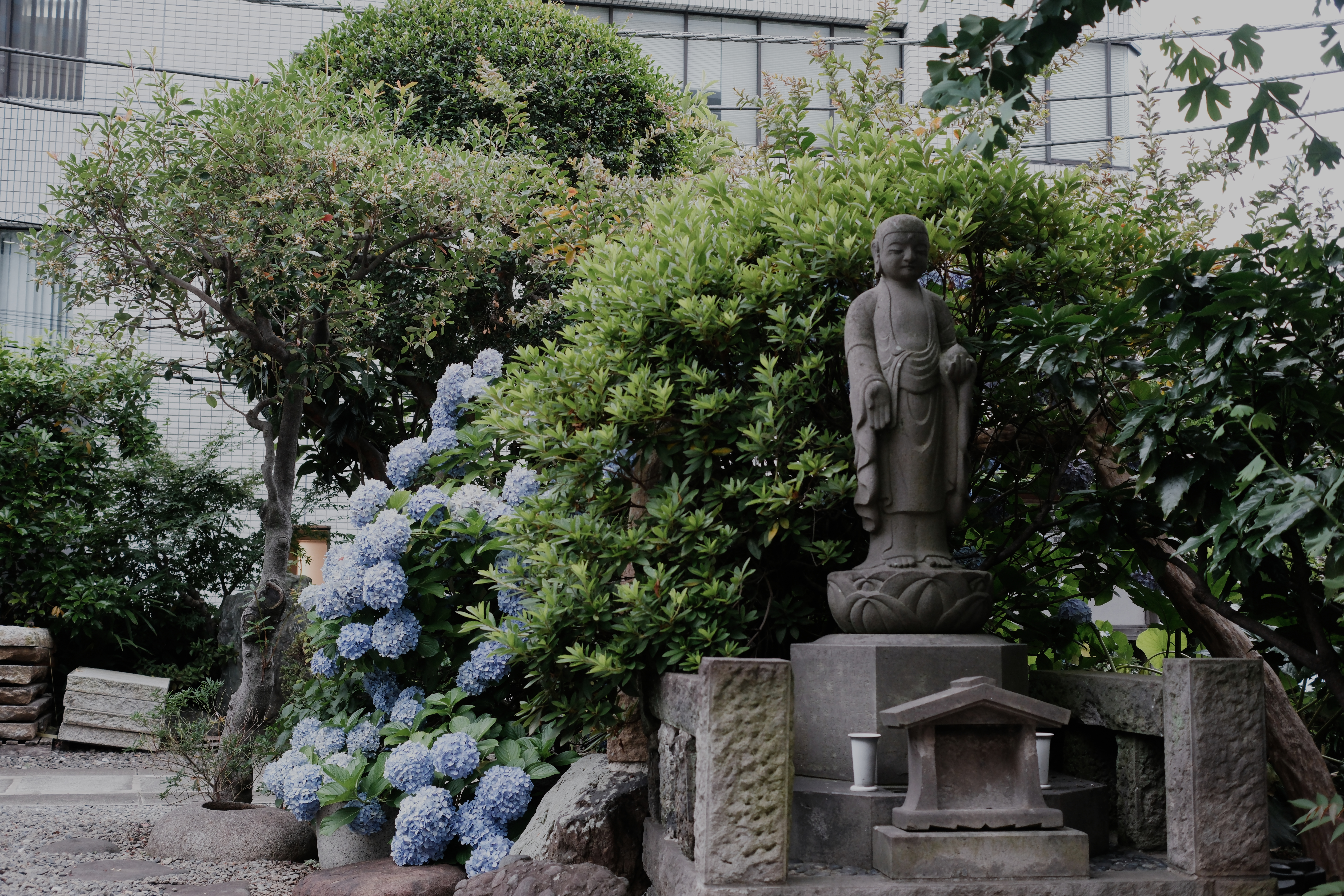 Hydrangeas and a stone Jizo statue at Hodo-ji