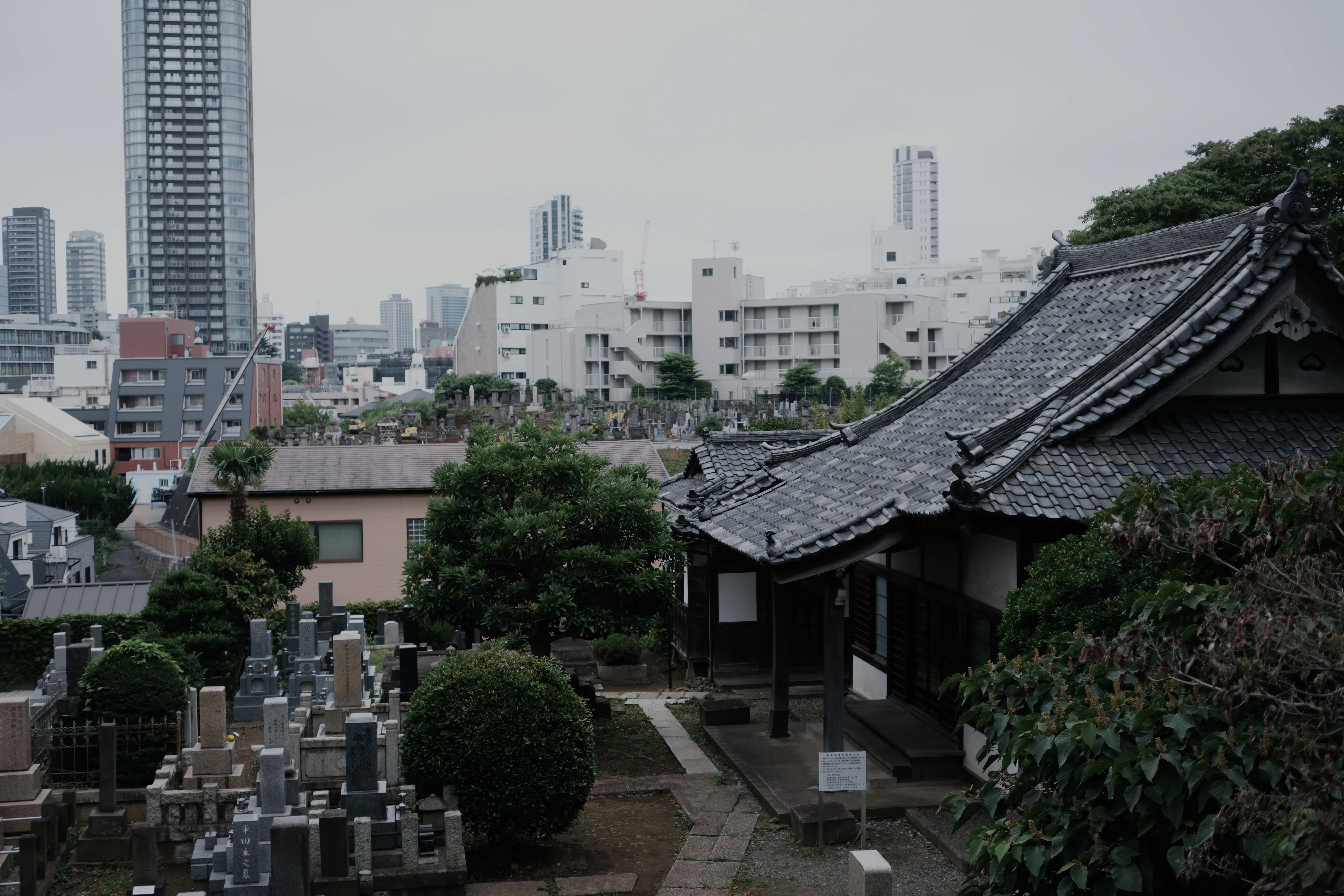 Temple roof, gravestones, apartment block's stairwell, and glass towers in one frame, Sempuku-ji